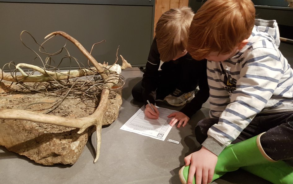 Minjasafn Austurlands