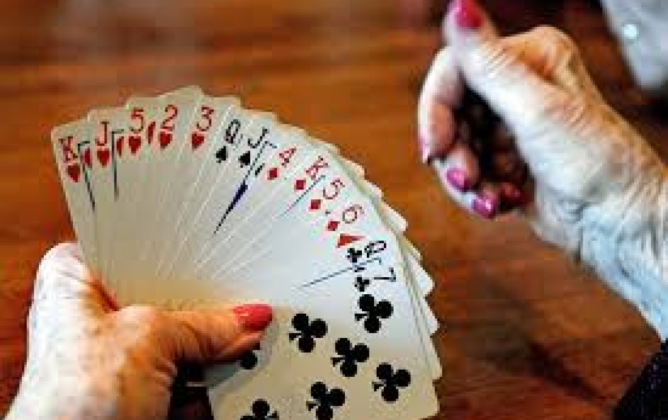 Bridge, vist og spilastund